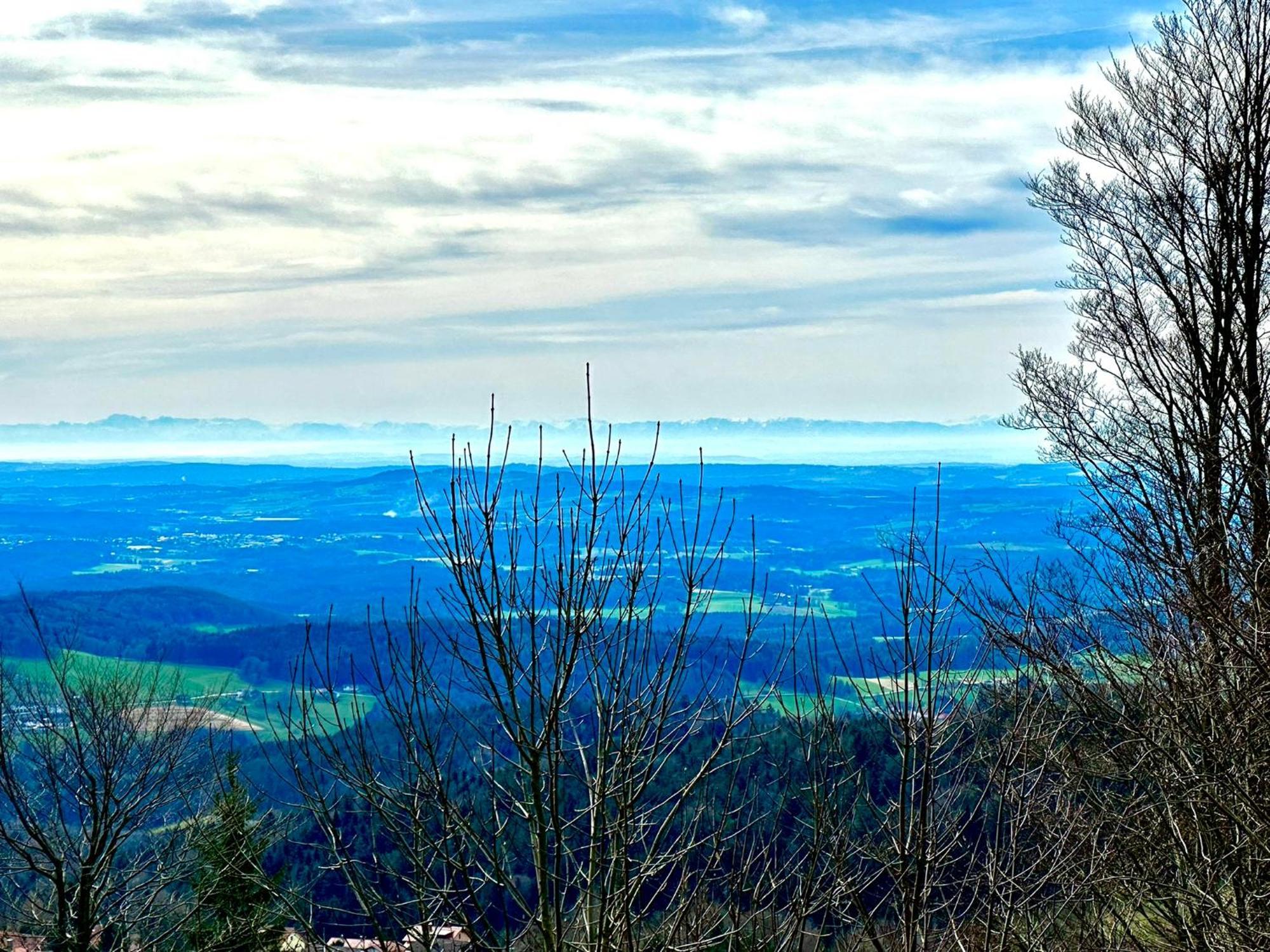 Gemuetliches Alpenblick Berg-Bungalow + Grosser Garten + Netflix! Schofweg Ngoại thất bức ảnh