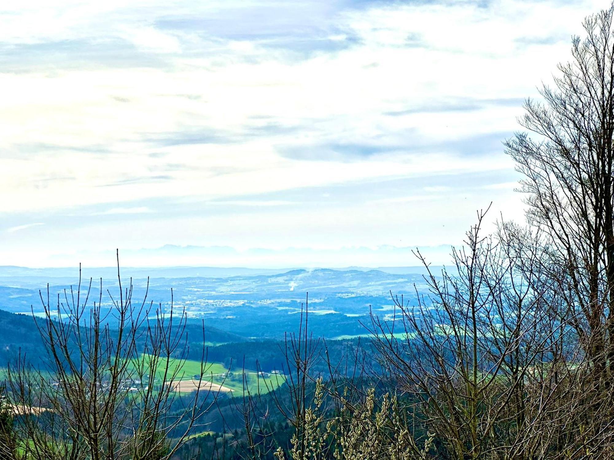 Gemuetliches Alpenblick Berg-Bungalow + Grosser Garten + Netflix! Schofweg Ngoại thất bức ảnh