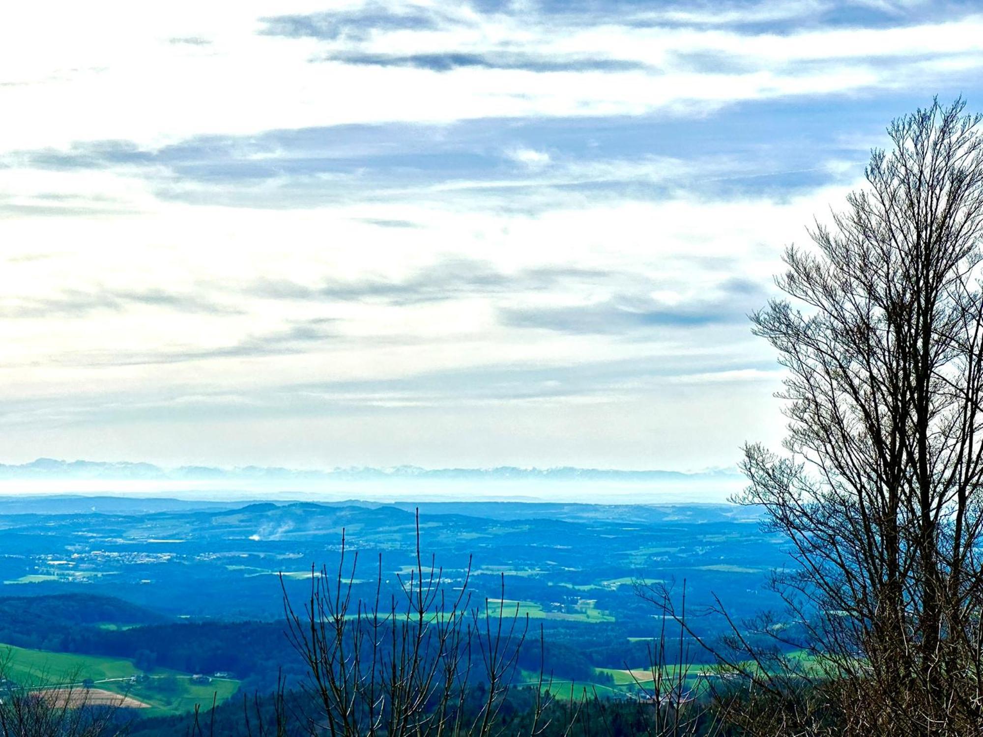 Gemuetliches Alpenblick Berg-Bungalow + Grosser Garten + Netflix! Schofweg Ngoại thất bức ảnh